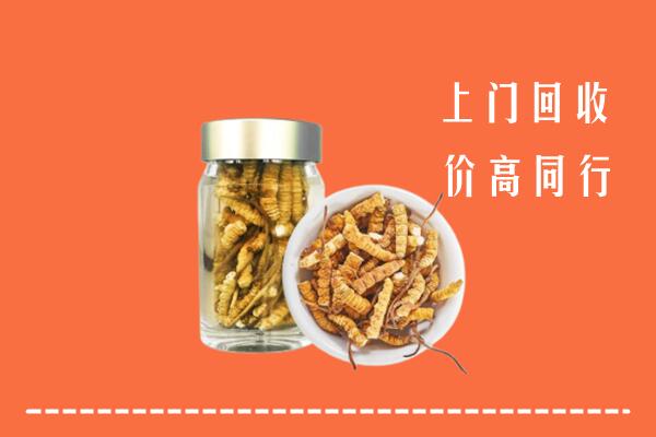 运河区回收冬虫夏草